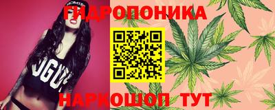 ECSTASY Пушкино