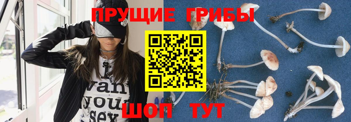 Псилоцибиновые грибы прущие грибы  Вход с VPN  Галлюциногенные грибы Psilocybine cubensis  Баксан 